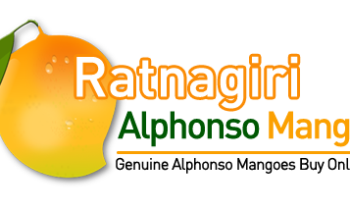 Ratnagiri Alphonso Mango