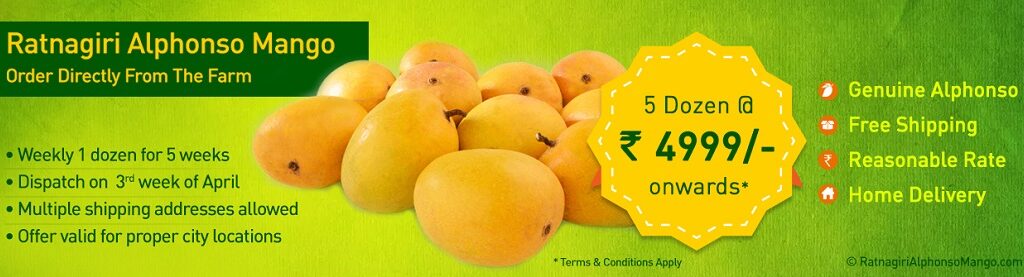 Ratnagiri Alphonso Mango