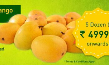 Alphonso Mangoes Supplier In India