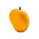 alphonso mango