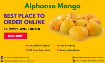 best place to buy Alphonso mango online