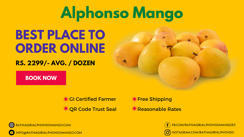 best place to buy Alphonso mango online